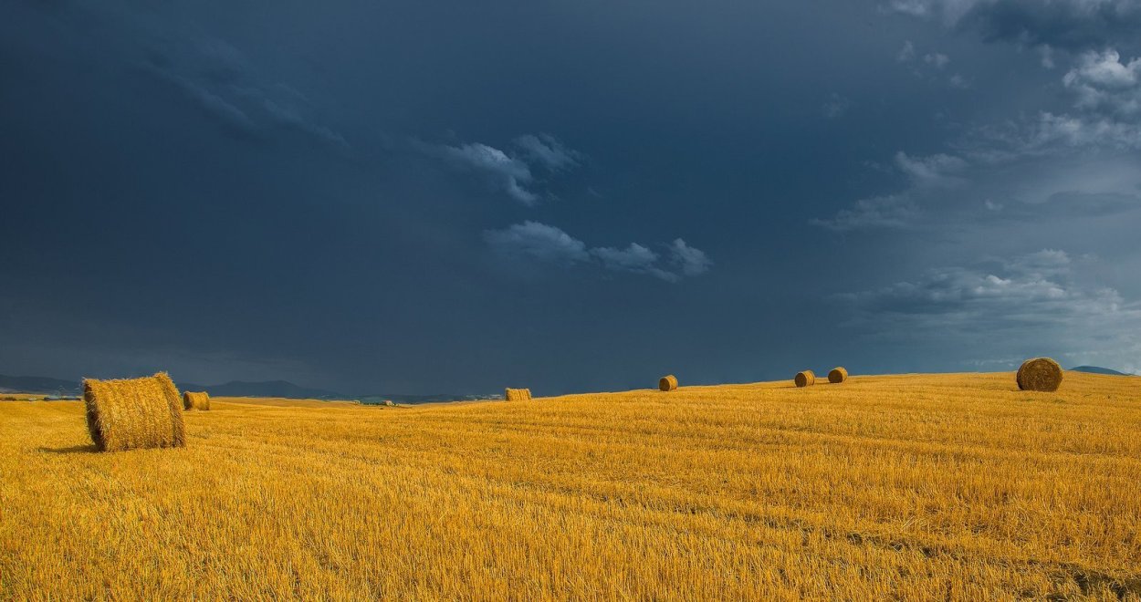 Поле осенью