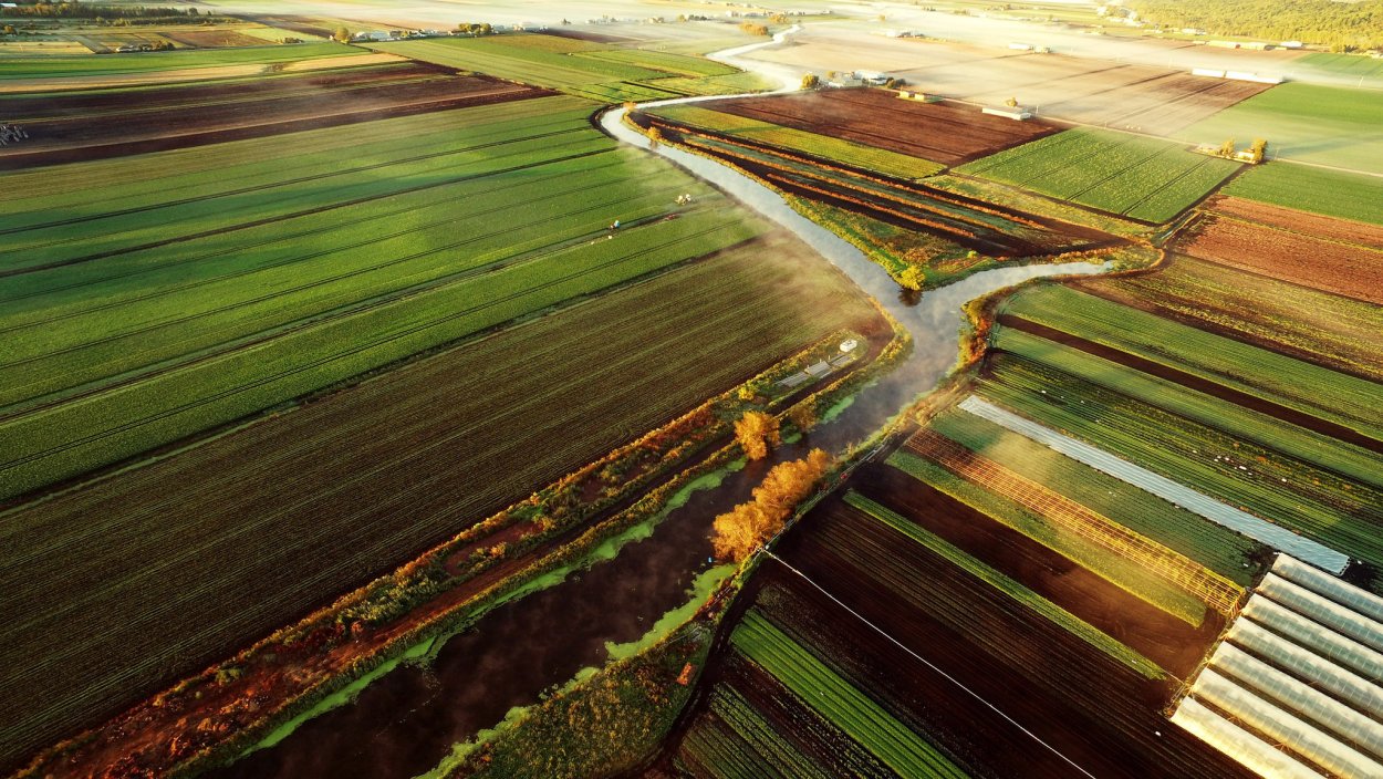 Сельскохозяйственные поля вид сверху