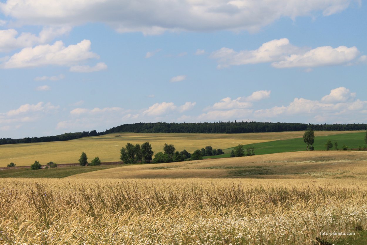 Природа Илишевского района Башкирии