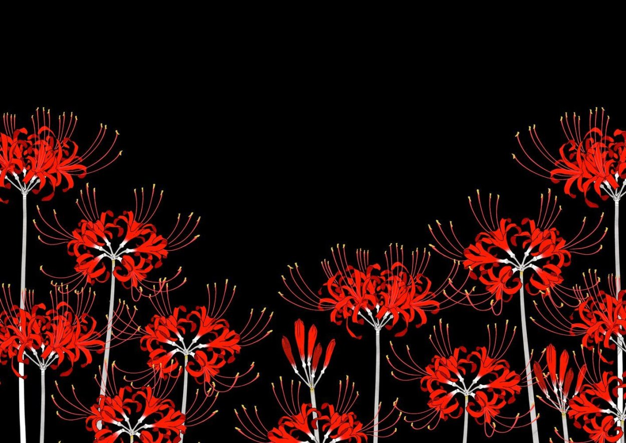 Хиганбана ликорис