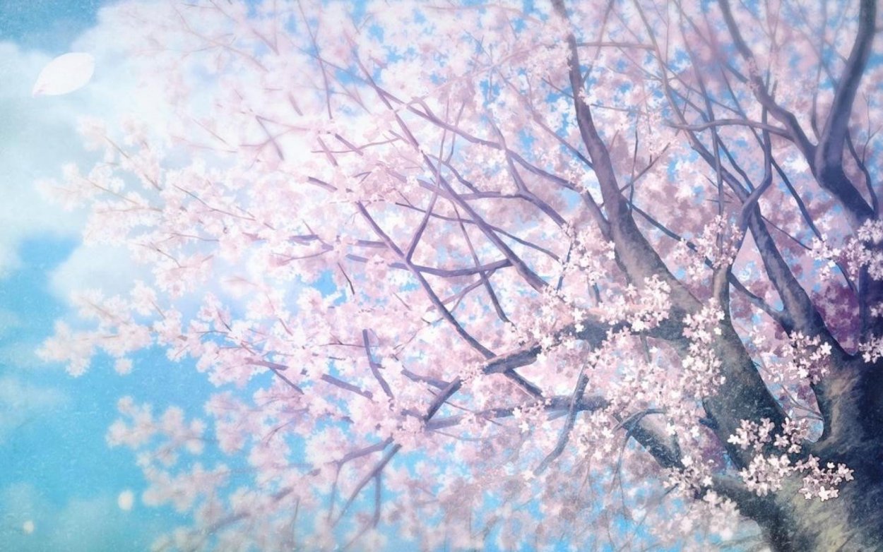 Весна Эстетика