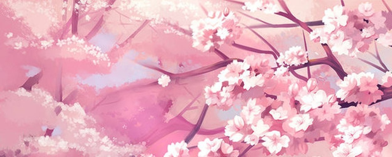 Вишня черри блоссом