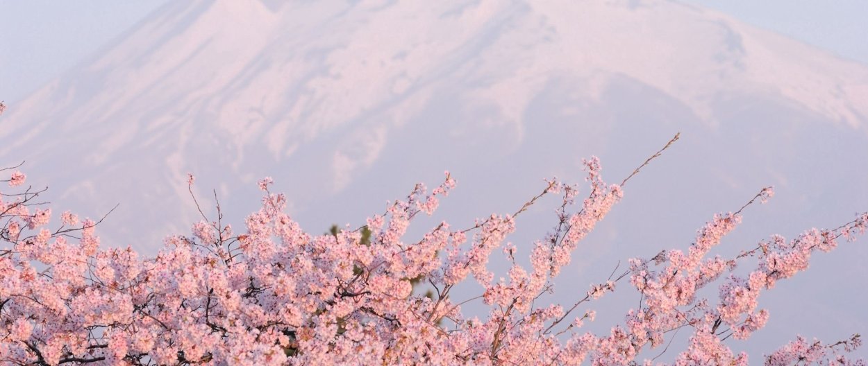 Вечерняя улица аниме