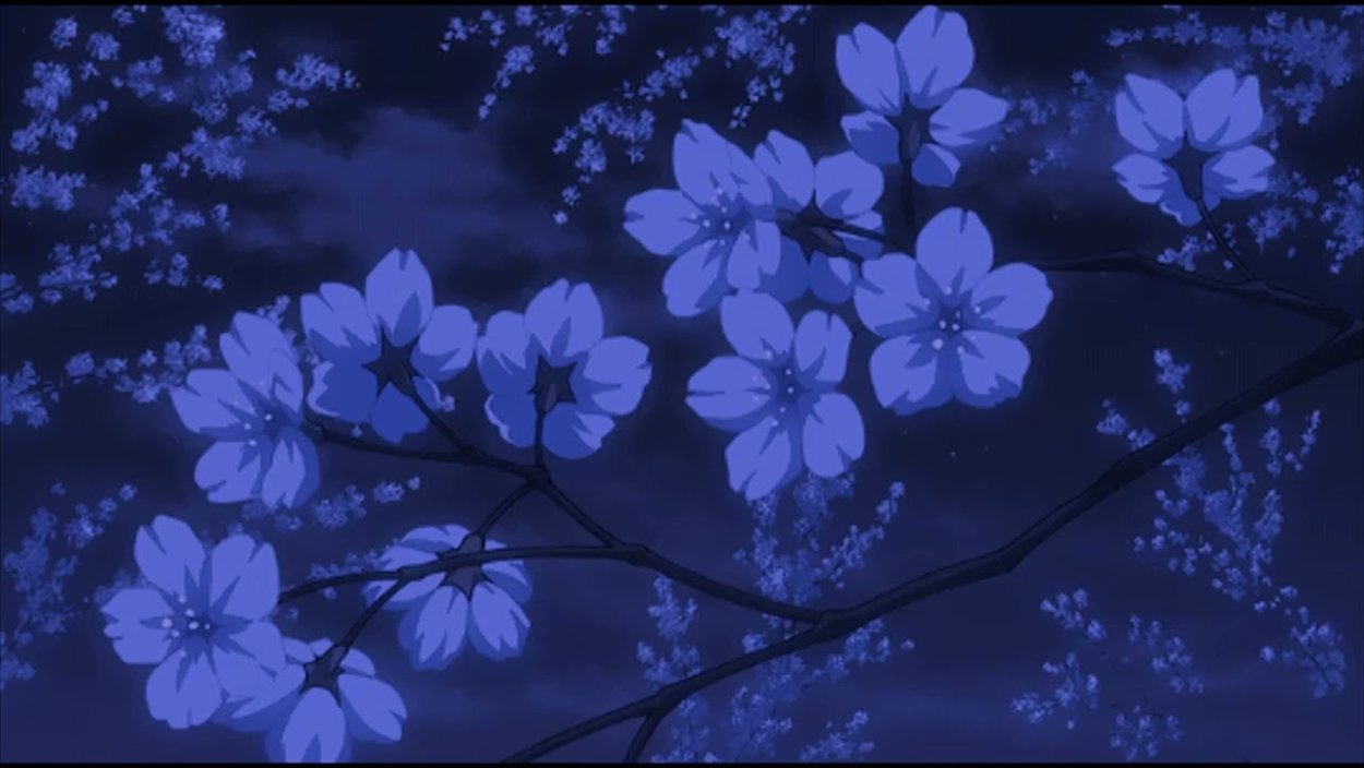 Цветущие ветви на фоне неба