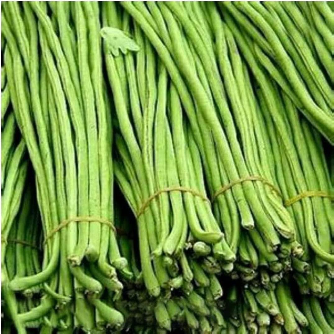 Зеленый длинный овощ