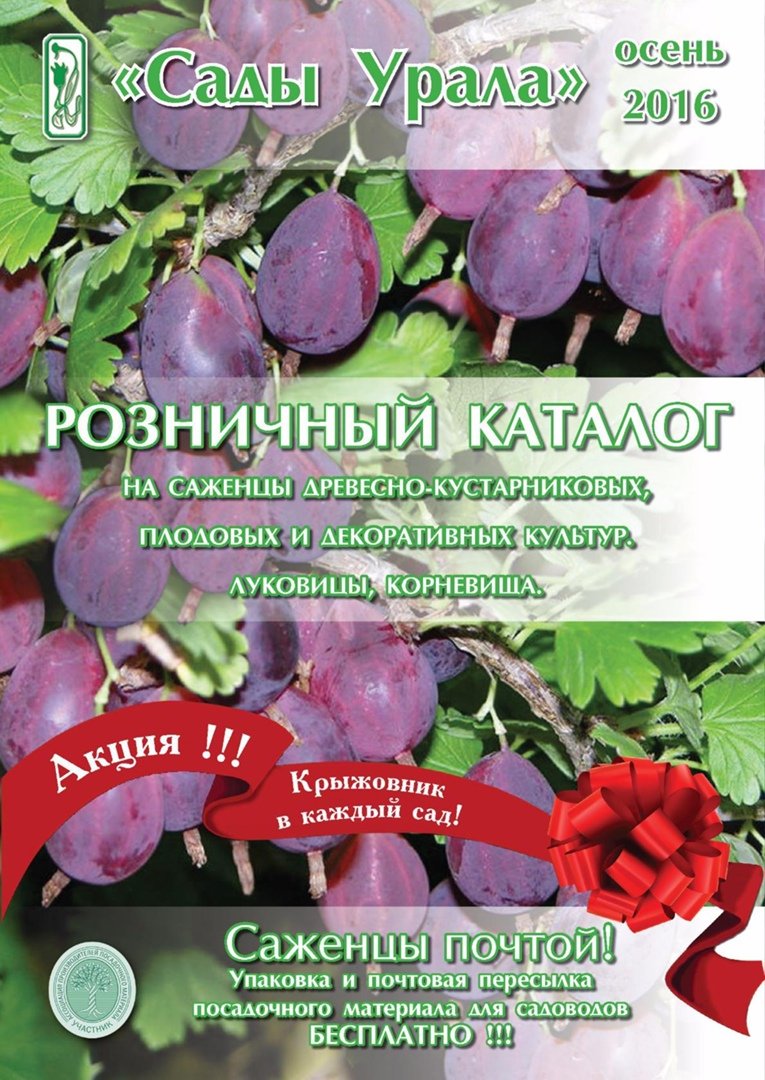 Артемовский питомник каталог. Сады Урала Артёмовский питомник Миролеевой. Сады Урала Артёмовский питомник каталог 2021. Артемовский питомник Миролеевой.. Сады Урала каталог на 2021 Весна.