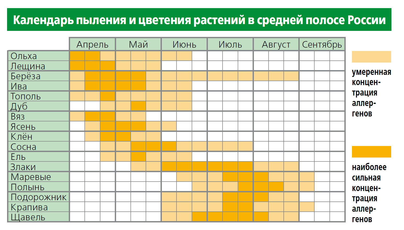 Через сколько цветут. Поллиноз периоды цветения. Поллиноз календарь цветения. Таблица аллергии на цветение. Календарь цветения для аллергиков Сибирь.