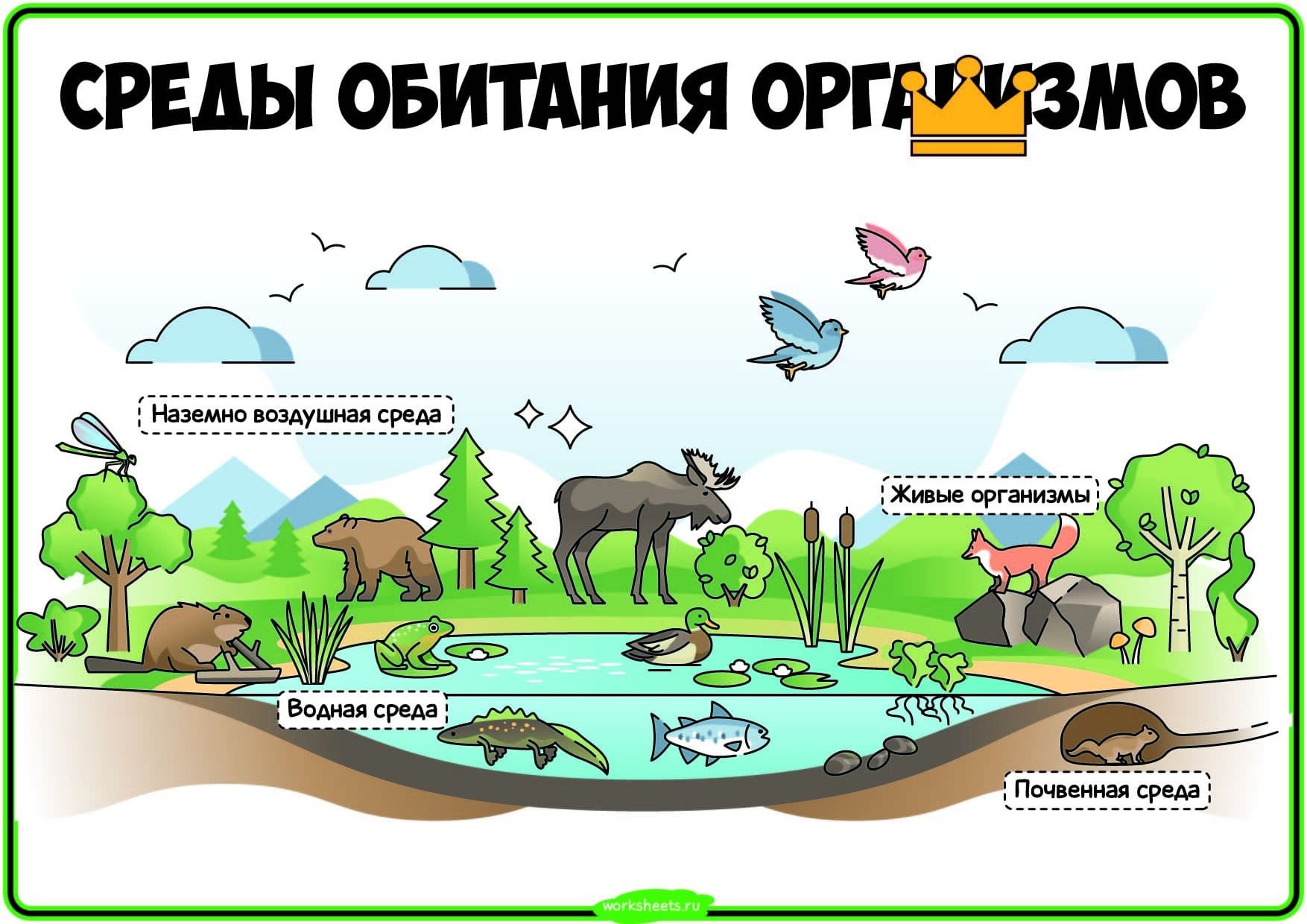 Среды обитания живых организмов презентация