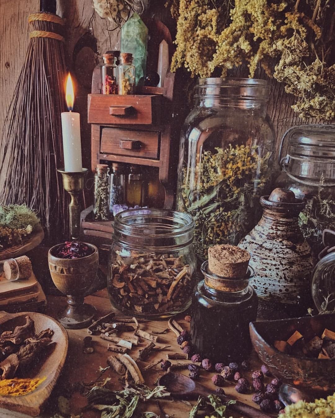 Witch aesthetic травы