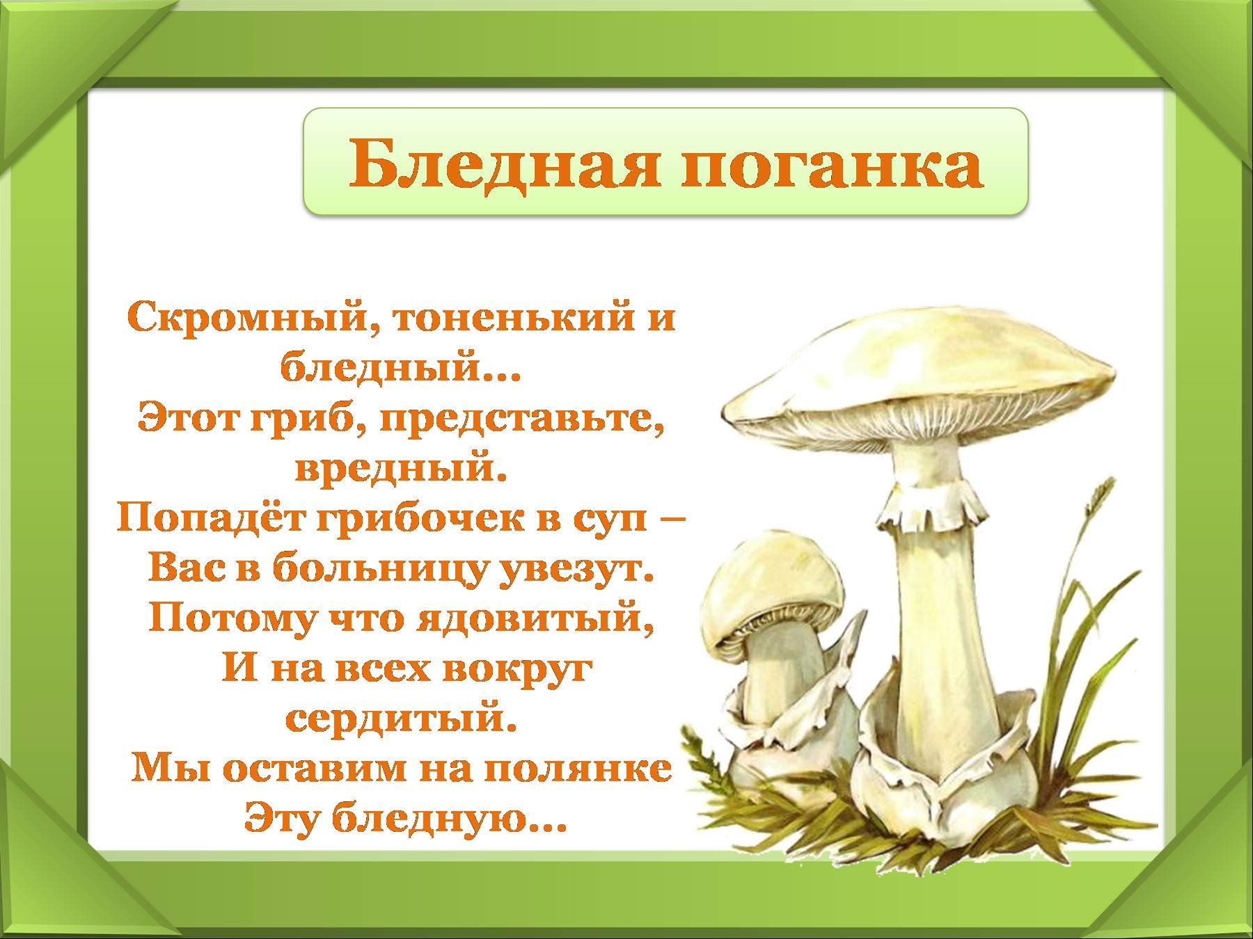 Стих грибы. Грибы несъедобные стихи для детей. Стихи про ядовитые грибы для детей. Загадка про бледную поганку. Стих про несъедобные грибы.