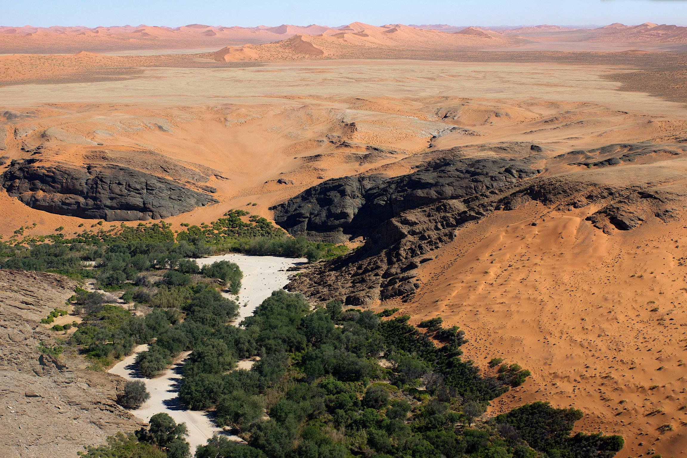Внутренние воды полупустынь и пустынь. Калахари Ливийская. Пустыня Кызылкум. Пейзаж пустыни Кызылкум. Полупустыня Намиб.