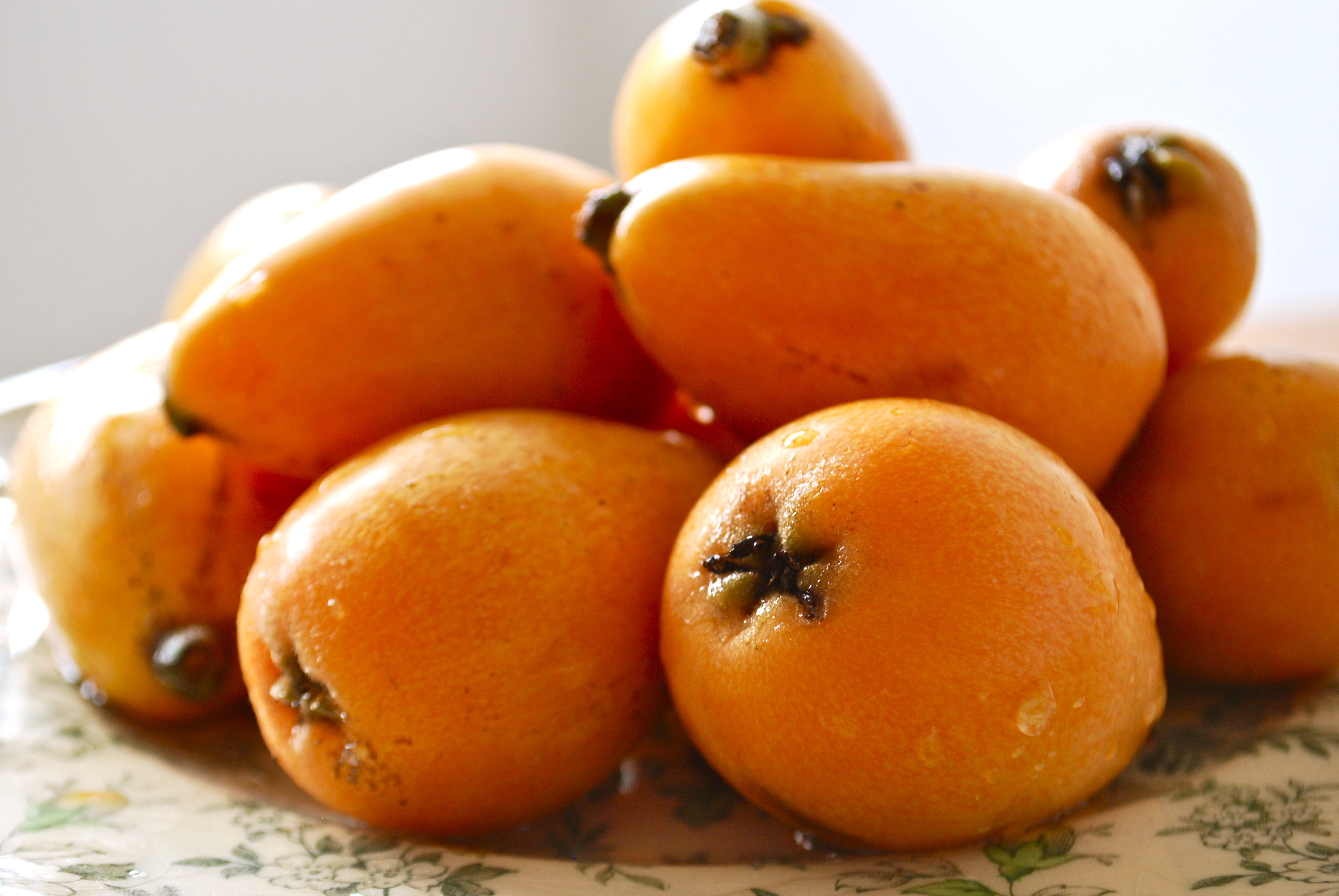 Оранжевый фрукт похожий. Мушмула оранж (2 года). Мушмула оранж (3 года). Мушмула и кумкват. Мушмула цукаты.