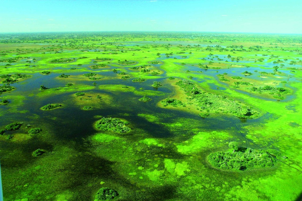 Самое большое болото новосибирской области. Дельта Окаванго Ботсвана. Дельта реки Окаванго. Дельта реки Окаванго в Ботсване. Болота Африки Дельта. Окаванго.