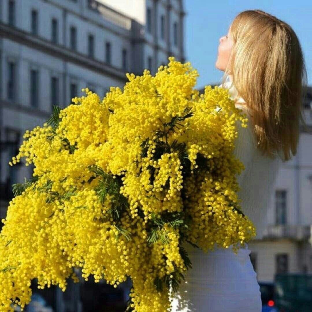 Желтые цветы которые дарят на 8. Букет мимозы. Букетик мимозы.