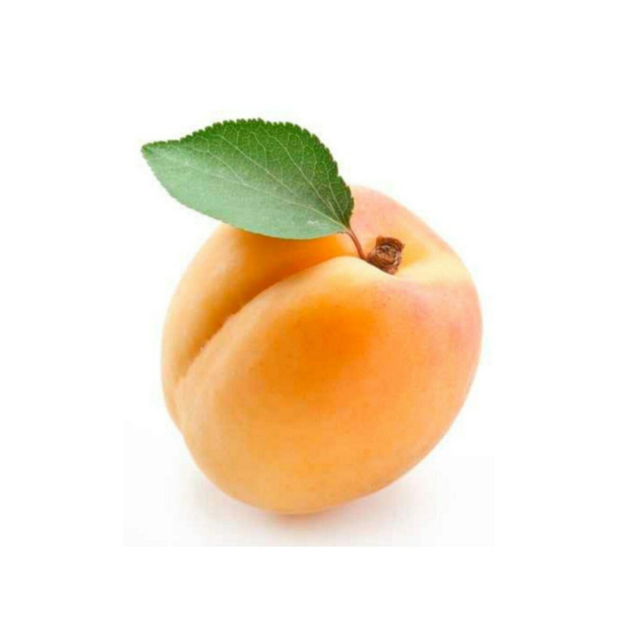 2 11 всех фруктов составляют персики. Фрукты по отдельности. Овощи и фрукты по отдельности. Абрикос на белом фоне. Фрукт абрикос для детей.