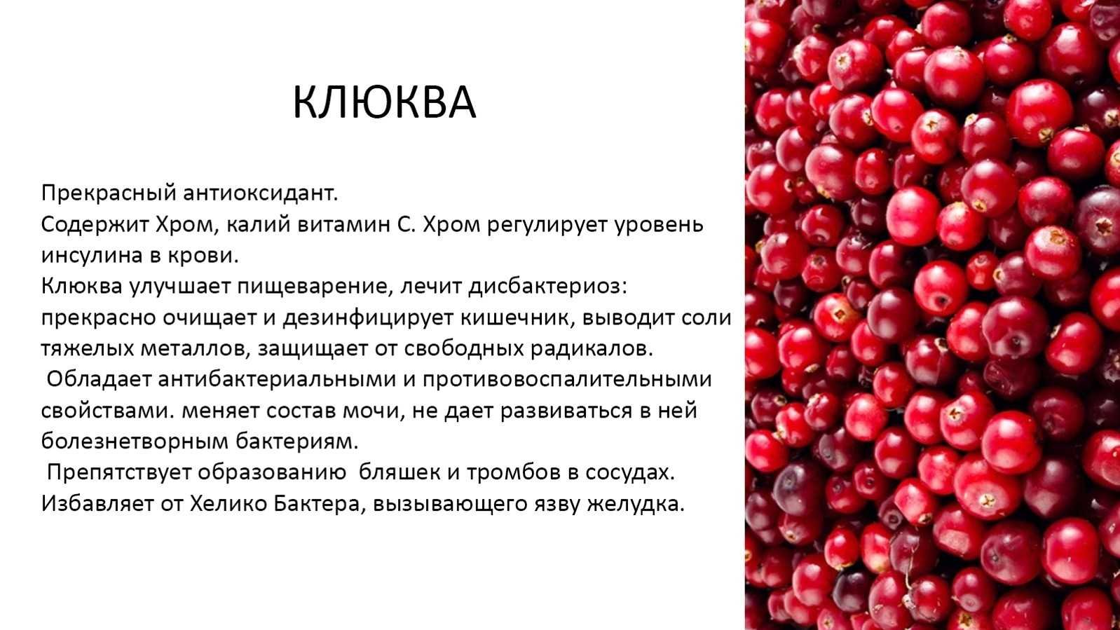 Клюква полезные свойства и противопоказания. Клюква витамины. Какие витамины в клюкве. Витамины содержащиеся в клюкве. Содержание витамина с в клюкве.