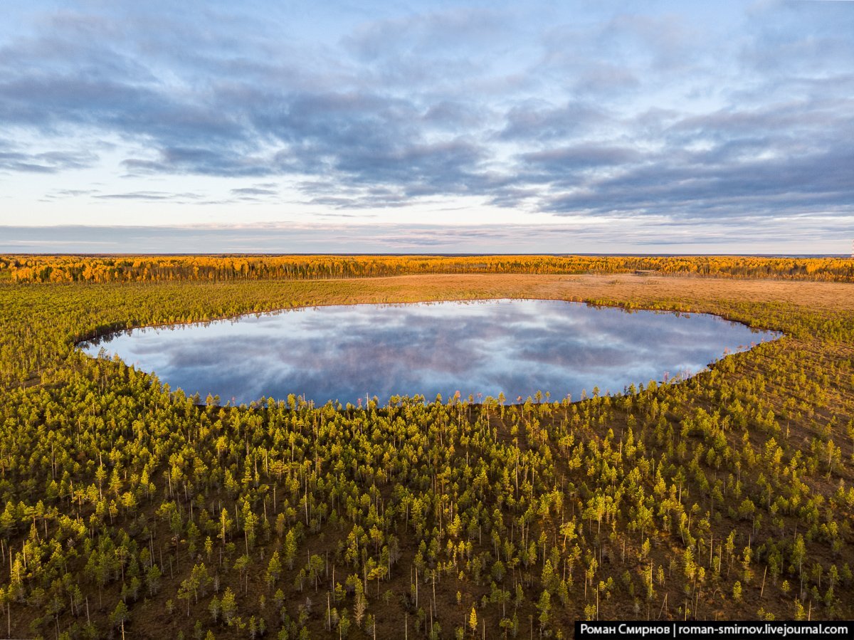 Самое большое болото васюганское. Болото Васюган. Васюганские болота, Западная Сибирь. Васюганское болото Томской области. Васюганские болота заповедник.
