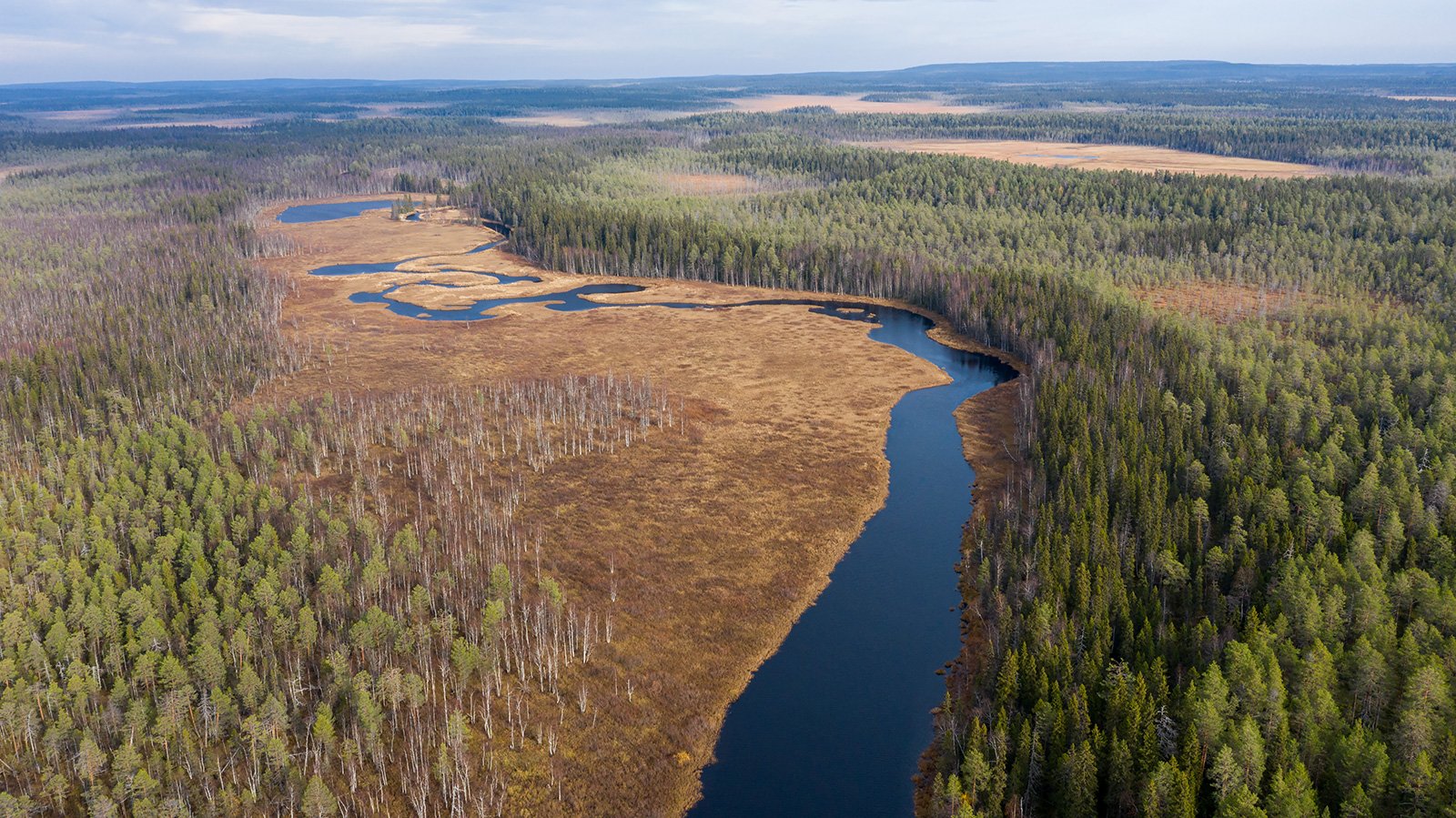 Водлозеро национальный парк стоянки