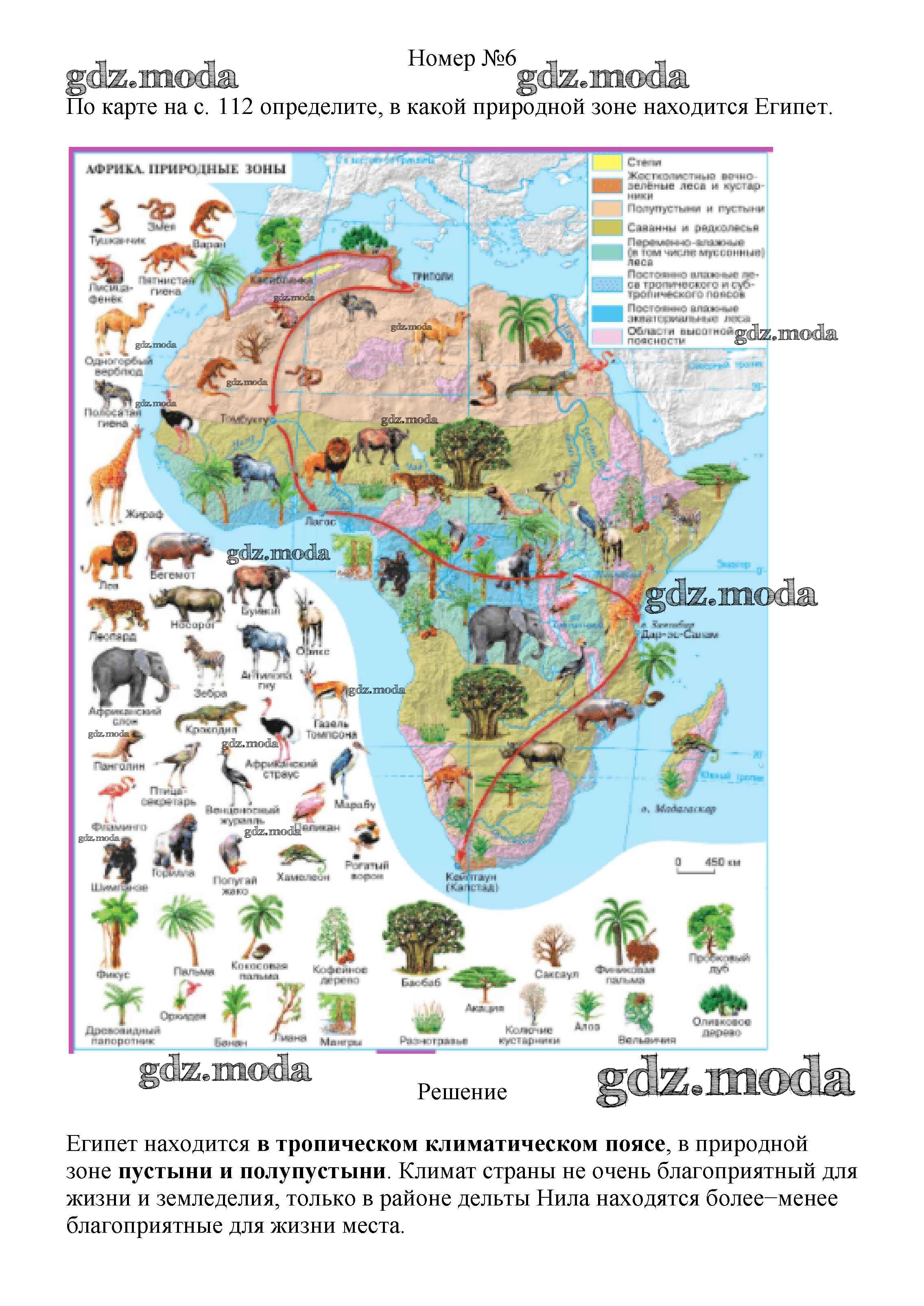 Природные зоны египта и их основные особенности. Карта растительности Африки. Карта природных зон Африки атлас. Природные зоны растительный и животный мир Африки. Природные зоны Африки 7 класс география карта.