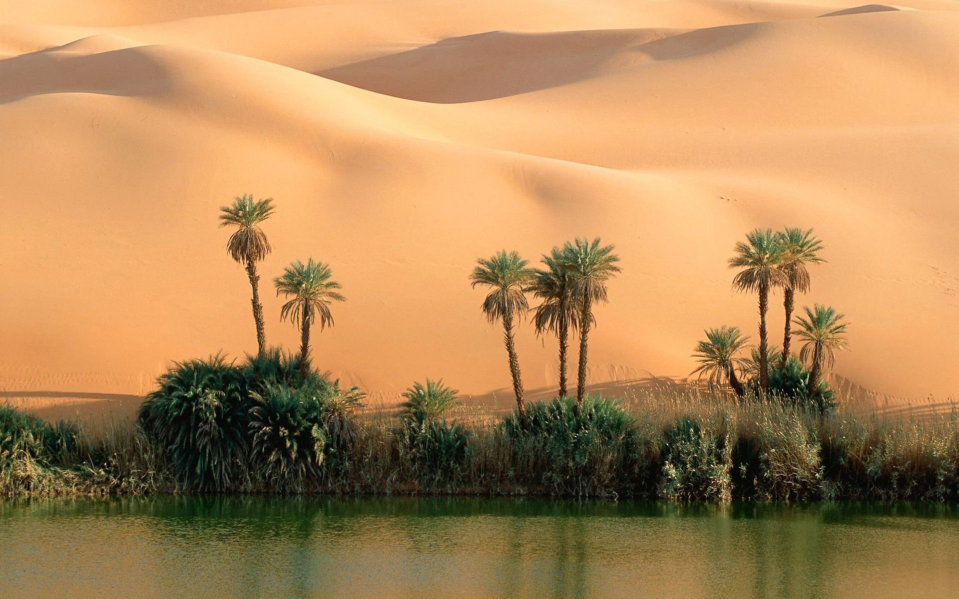 Река оазис. Оазис Убари Ливия. Барханы Оазис Саудовская Аравия. Озера Убари Ливия. Оазис Убари в пустыне.