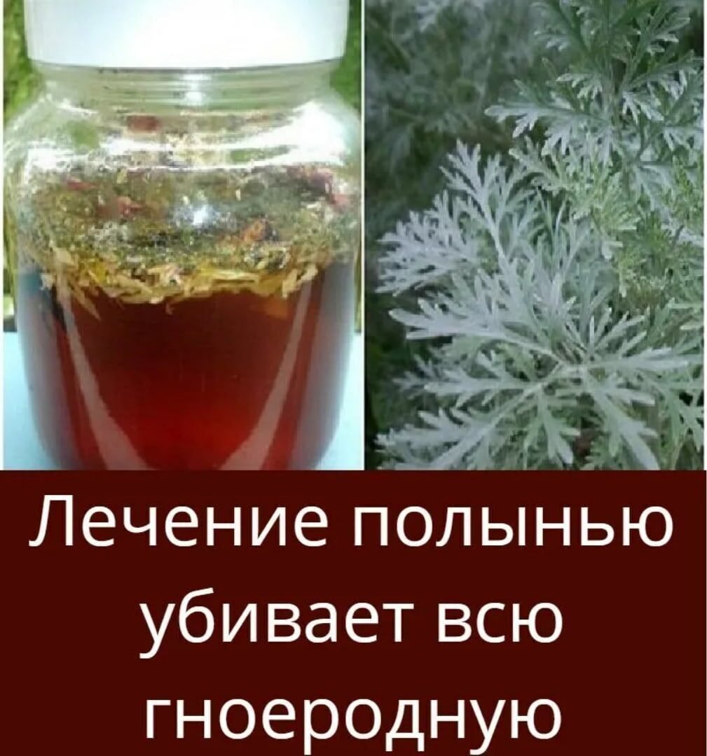 Полынное вино