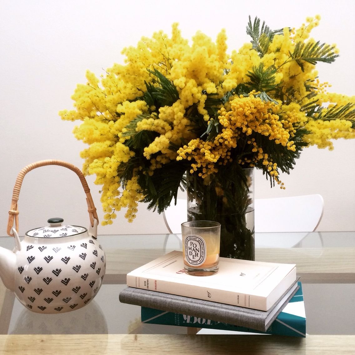 Как сохранить цветы мимозы в домашних условиях