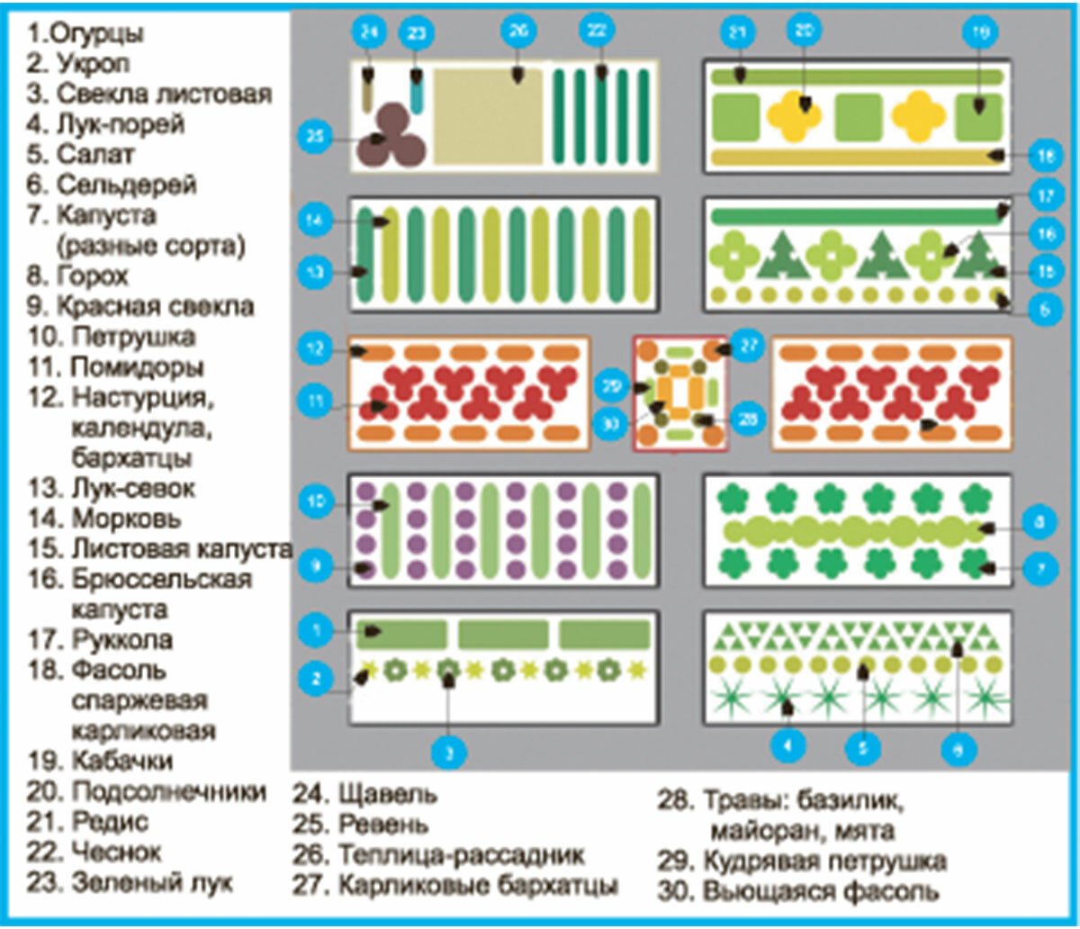 Схема правильного планирования огорода для посадки овощей