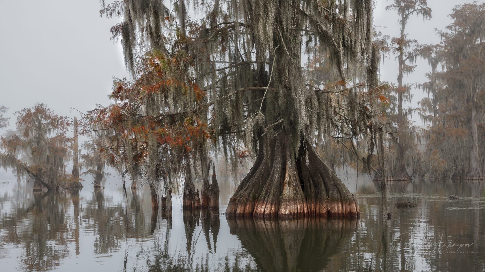 Болото призраков. Луизиана болото Манчак. Озеро Манчак. Кипарисовое болото Луизиана. Болото Манчак, США, штат Луизиана.