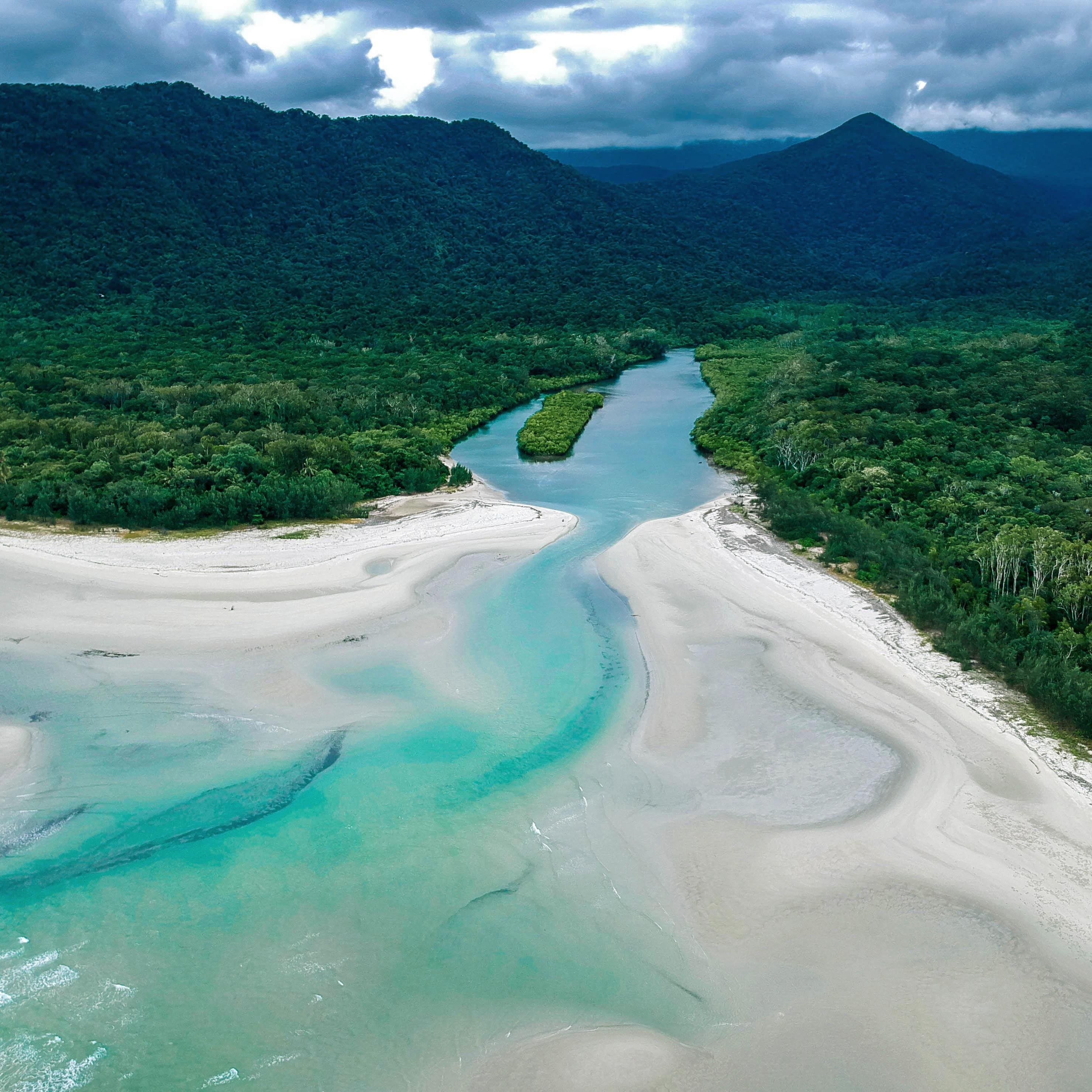 Daintree National Park Australia