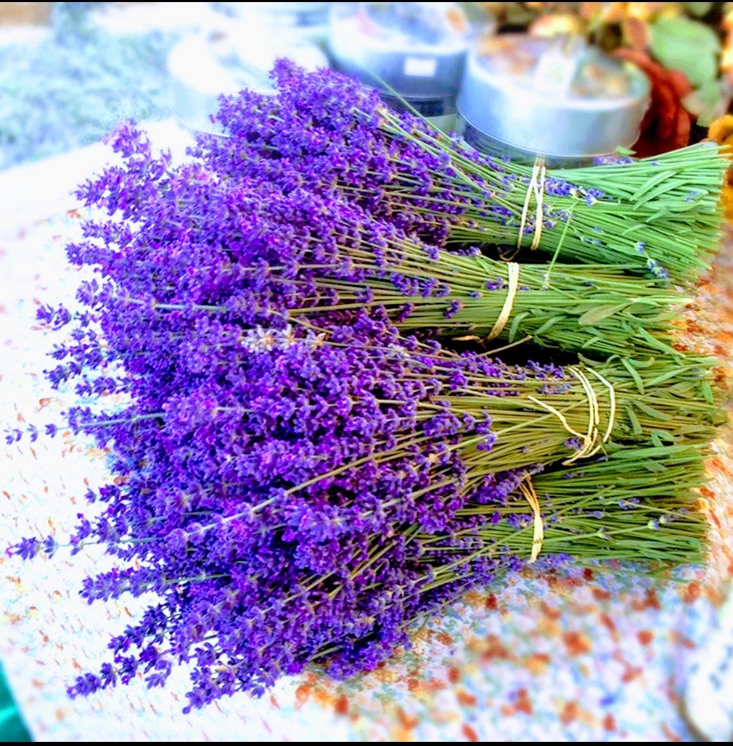 Лаванда Lavender dried