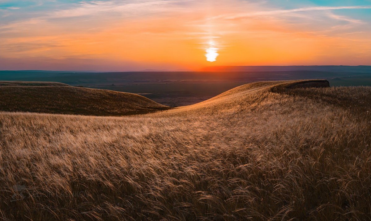 Фотография ставропольского края. Ставропольский край Федор Лашков. Федор Лашков ковыль степь горы. Ставропольская возвышенность Ставропольского края. Ковыль Ставропольский край.