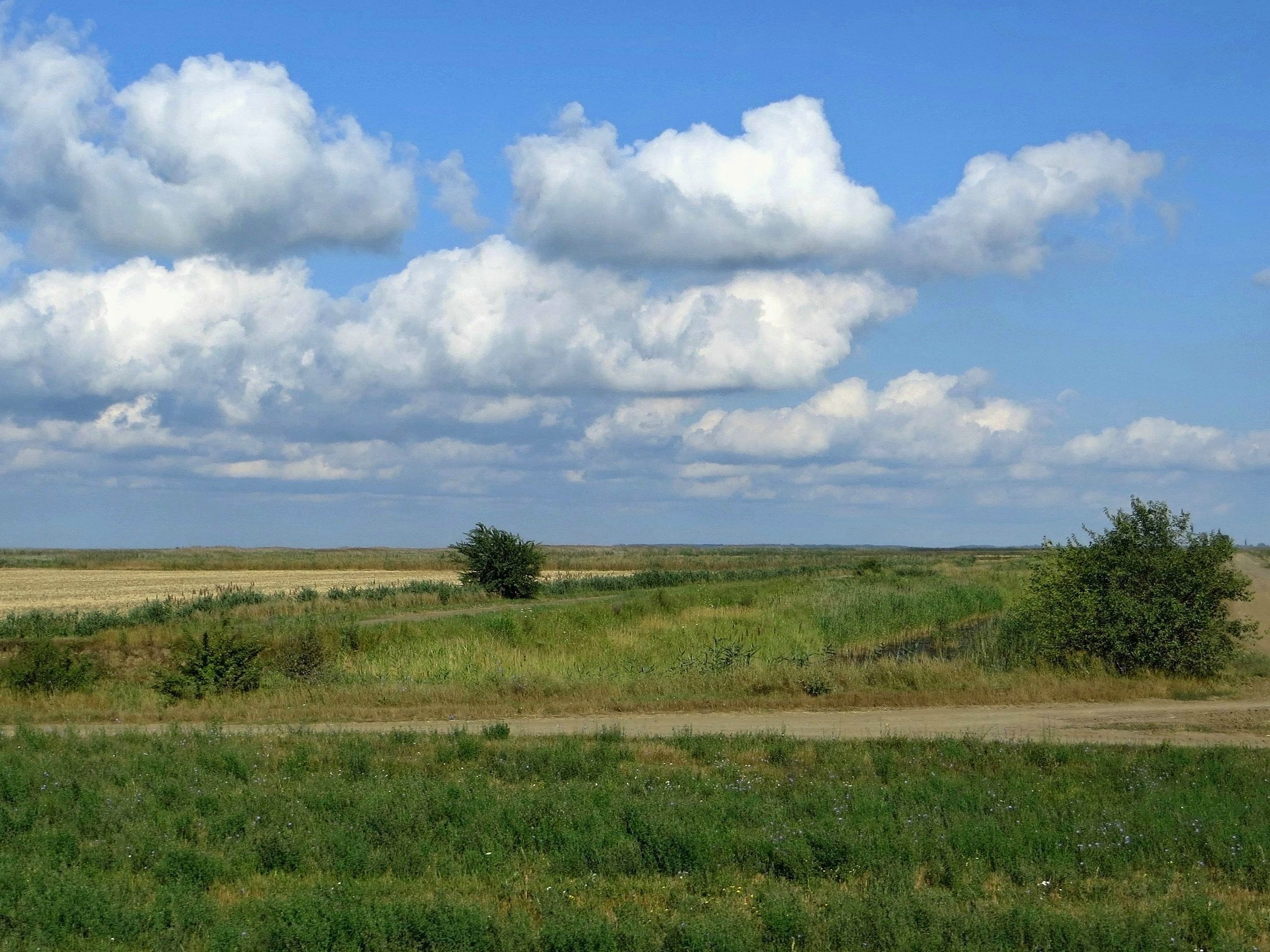 Поселок кубанская степь