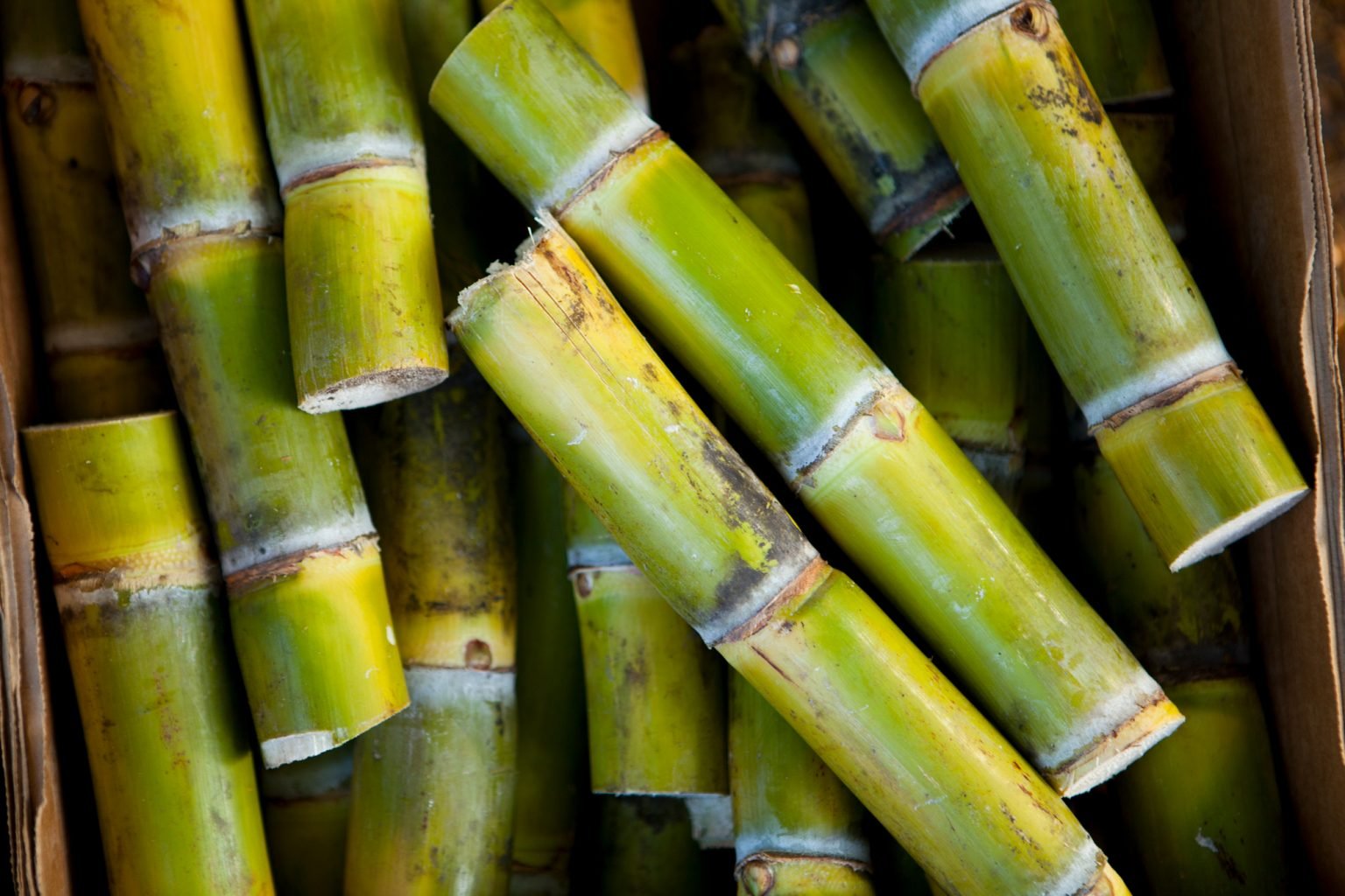 Сок сахарного тростника. Таиланд сахарный тростник. Гавайи сахарный тростник. Сахарный тростник новая Гвинея. Сахарный тростник Испания.