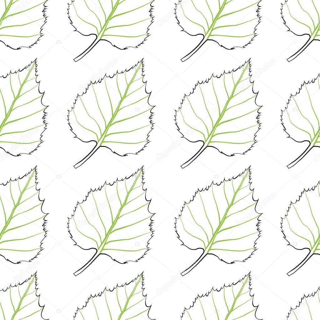 Лист сирени форма листа жилкование листа Тип листа