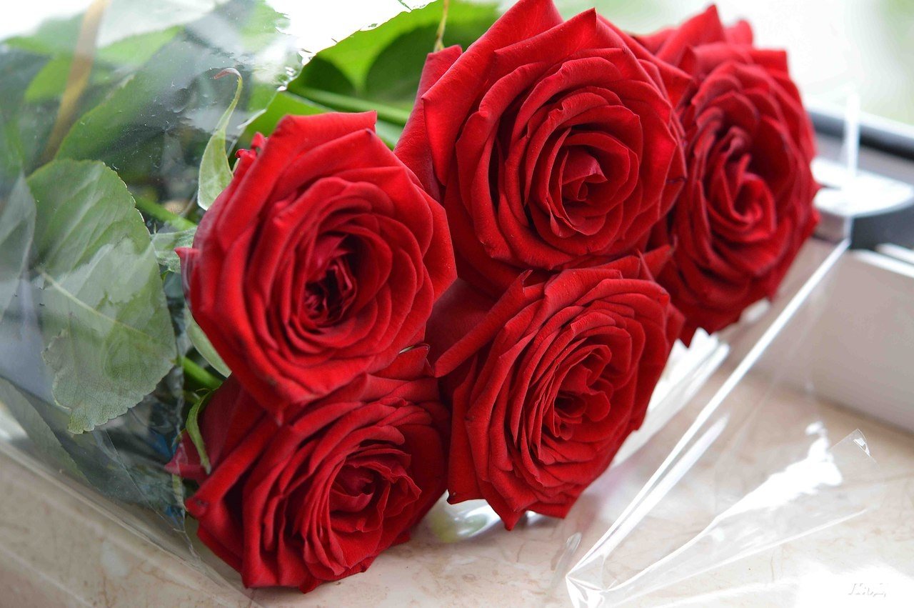 Сколько стоит купить 3 розы. Красивый букет роз. Buket krasnix roz. Красные розы. Букет алых роз.