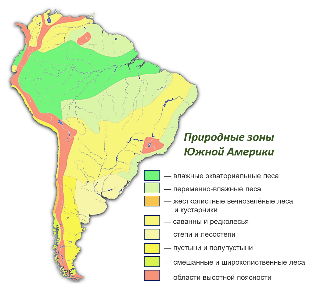 Какие климатические пояса занимают наибольшую площадь материка. Экваториальный пояс Южной Америки природная зона. Влажный экваториальный лес в Южной Америке на карте. Карта природных зон Южной Америки. Природные зоны материка Южная Америка.