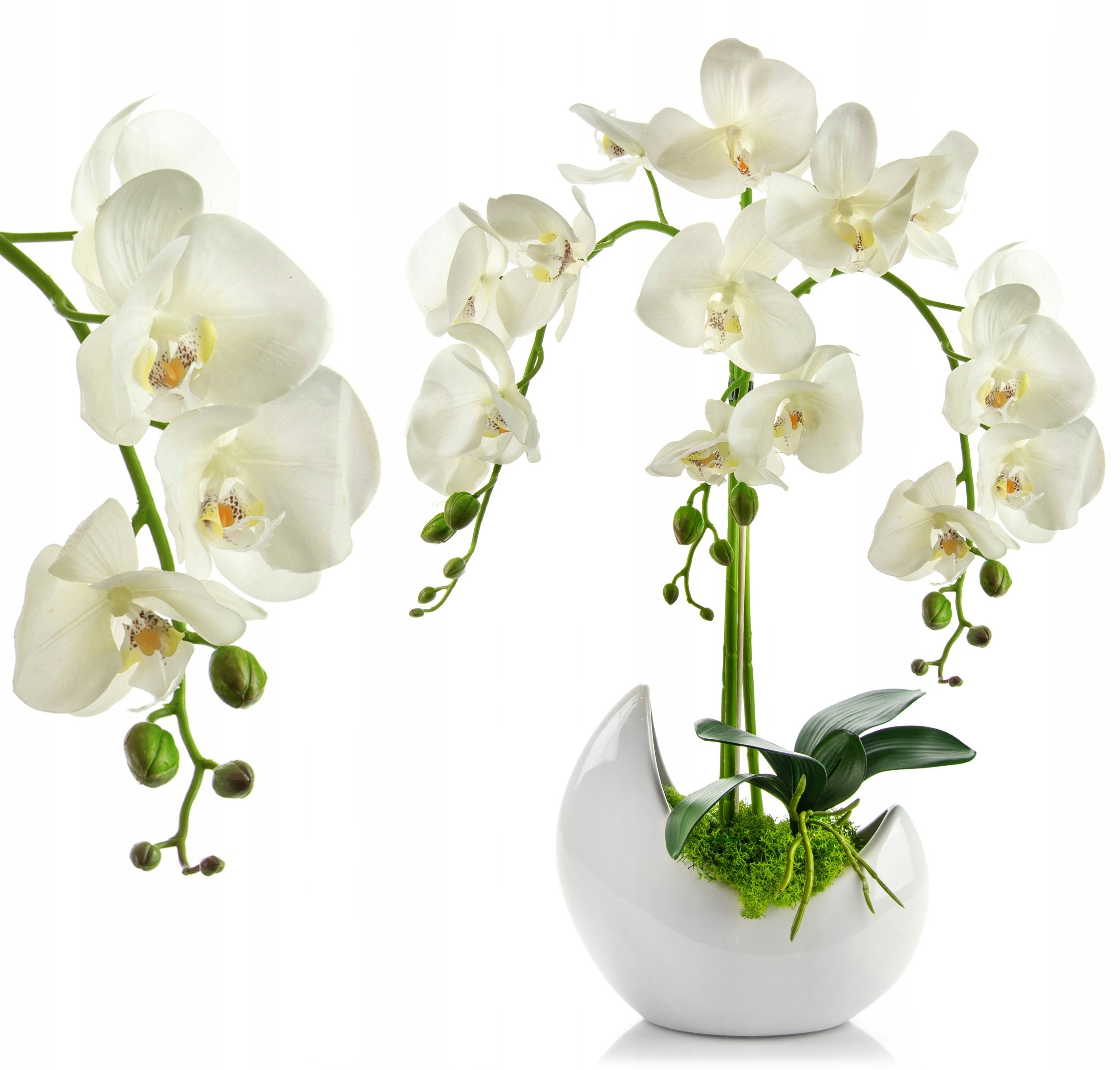 Орхидея белая кустовая - 63 фото