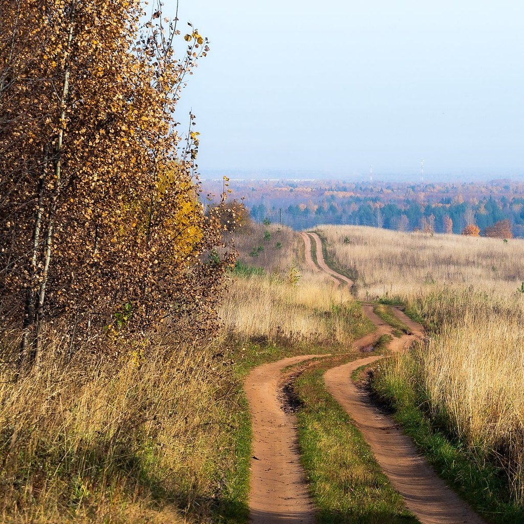 Тропинка в деревне