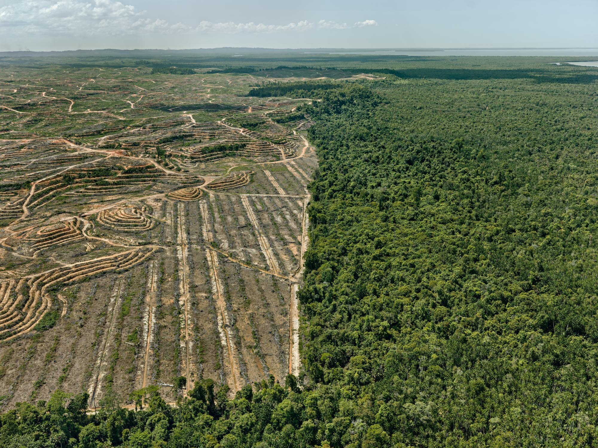 Обезлесивание. Долина Мехико обезлесение. Китайцы вырубают лес в Сибири. Обезлесение: Гватемала. Обезлесивание в России.