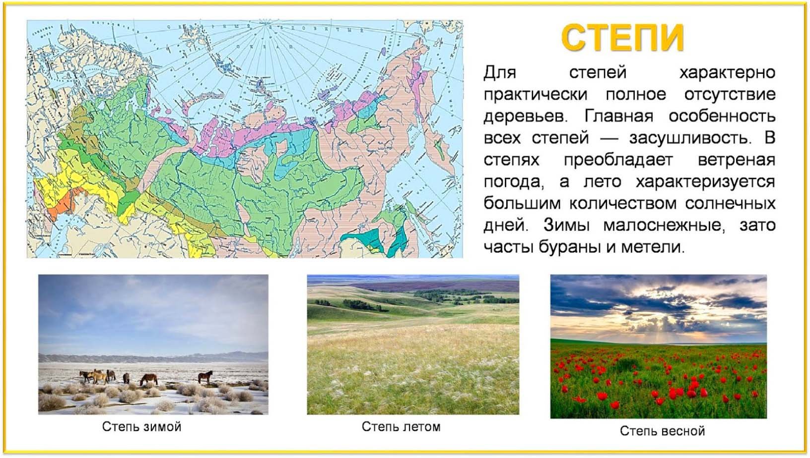 Климатический пояс природной зоны степи