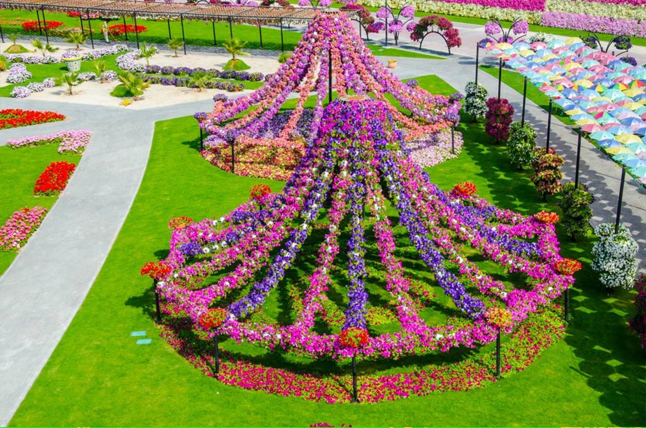 Конкурс удивительный мир цветов. Miracle Garden Дубай. Миракл Гарден парк цветов Дубай. Сад чудес Объединенные арабские эмираты Дубай сад Дубаи Миракл. Дубай парк Гарден Павлины.