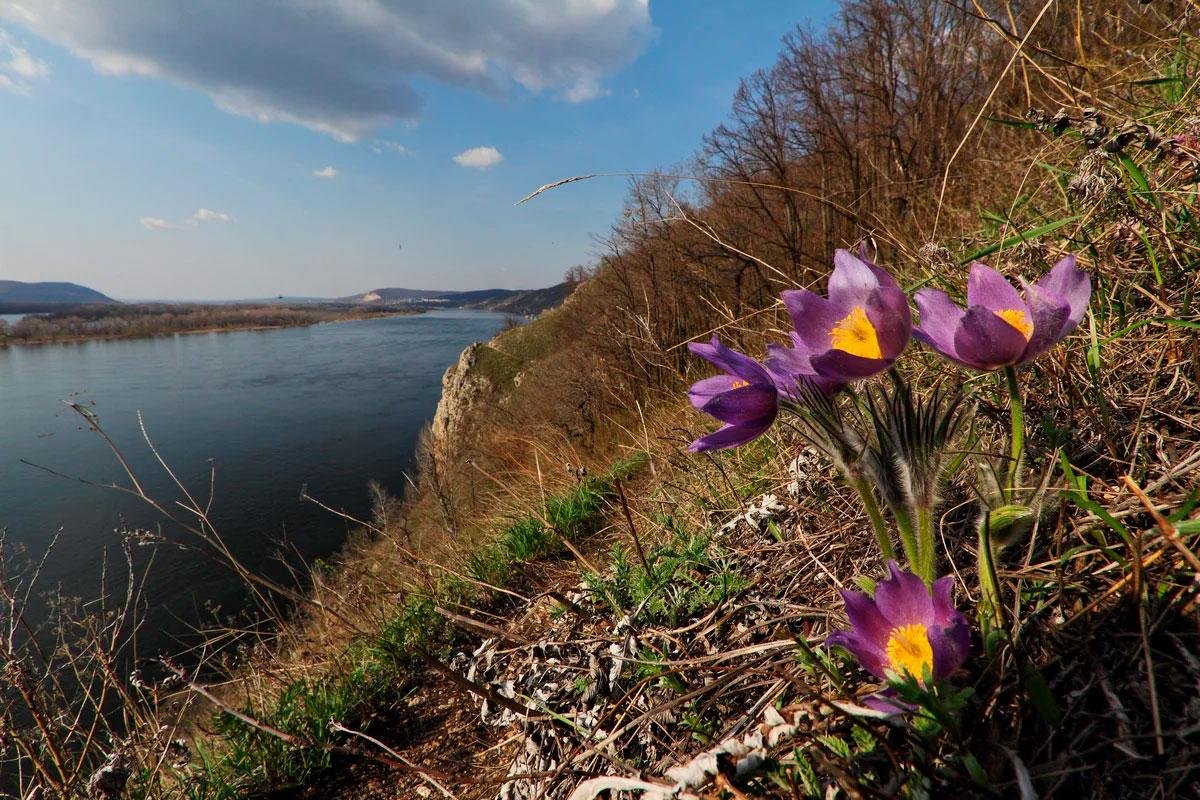 Тольятти Волга ранней весной
