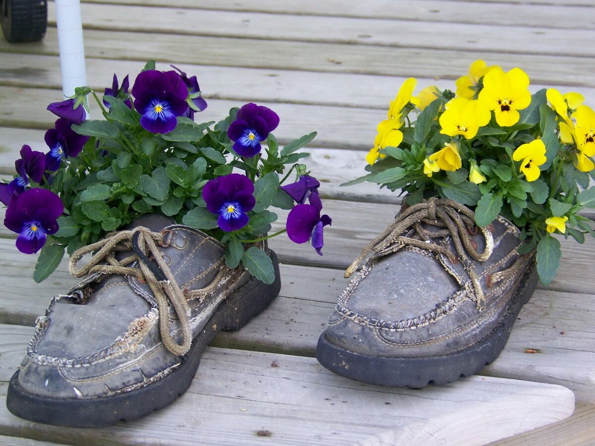 Музыка вторая жизнь. Цветы в ботинках. Цветы в старых ботинках. Клумба в ботинке. Клумба из старой обуви.