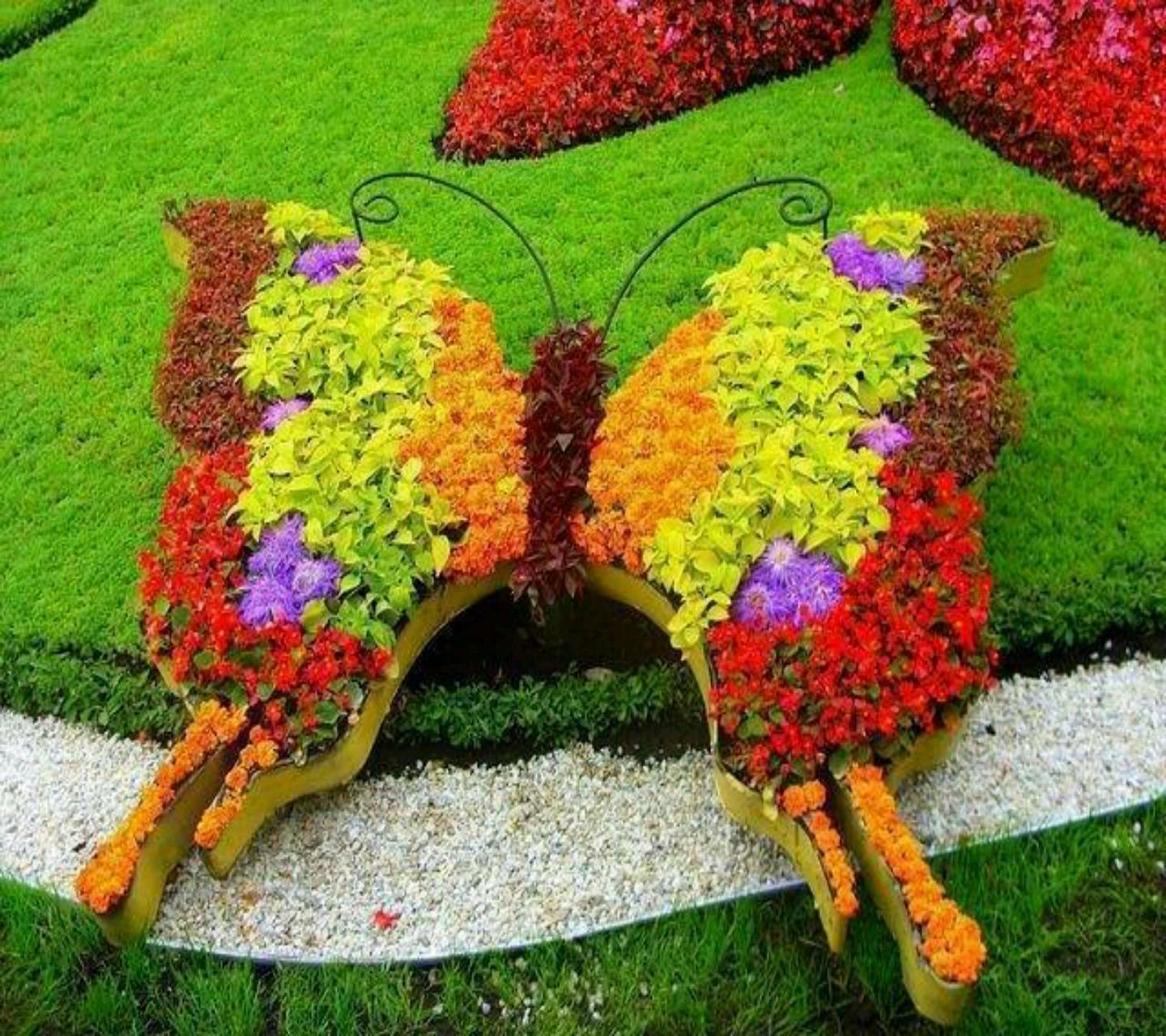 Клумба - настоящее украшение для сада. Советы и идеи по оформлению от Intex-rus.ru