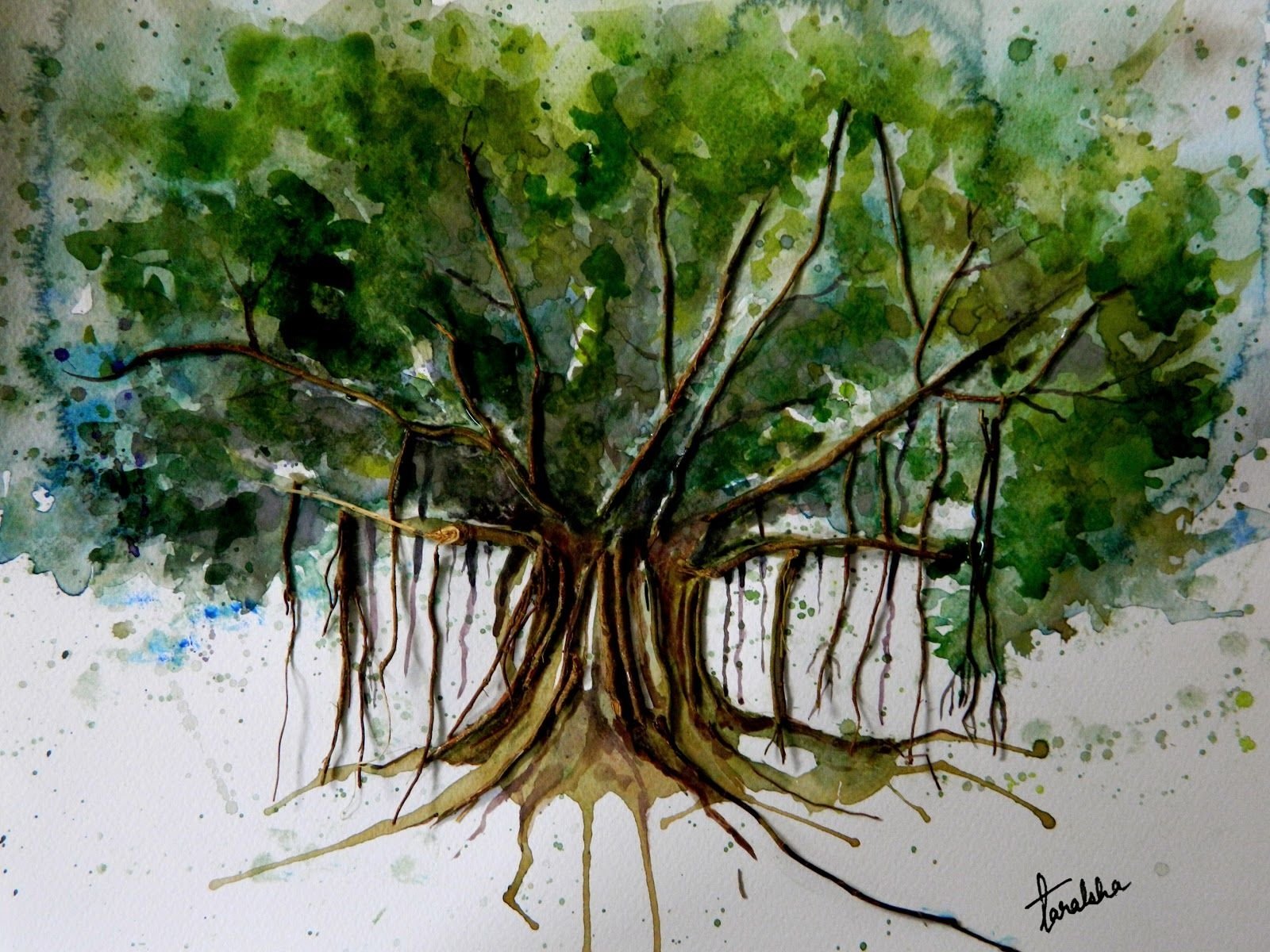 Дерево миллера. Баньян дерево Sketch. Акварель «деревья в Санлисе» Пруста. Баньян дерево картина. Краска для дерева.