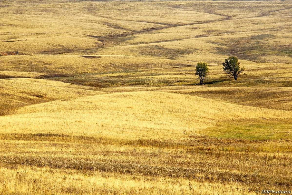 Канзас степь