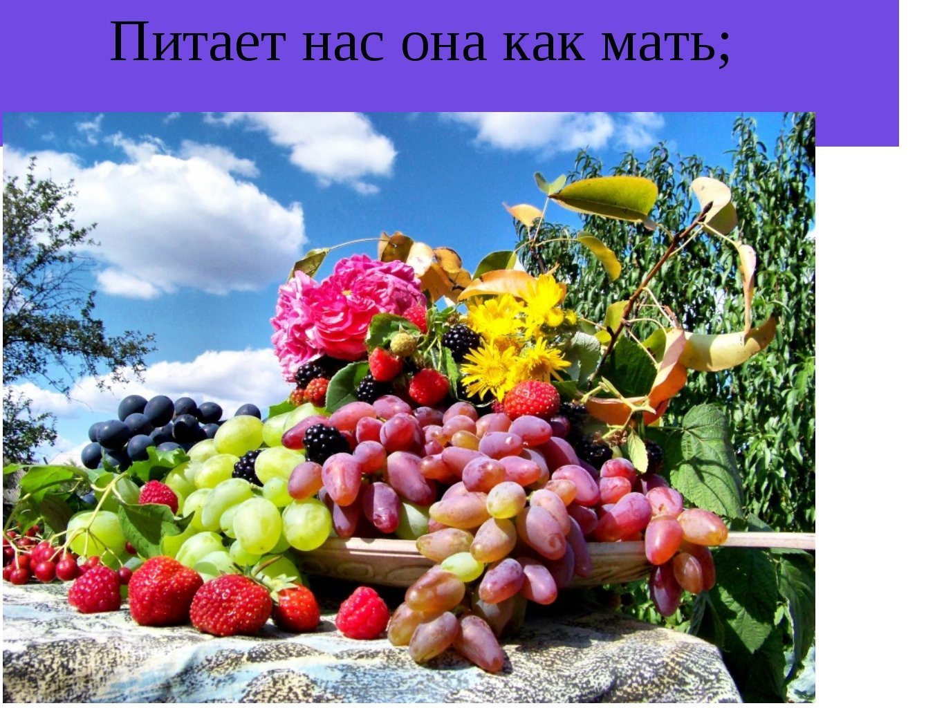 Хорошо лето плодами. Летние фрукты. Фрукты на природе. Летние овощи и фрукты. Фрукты овощи цветы.