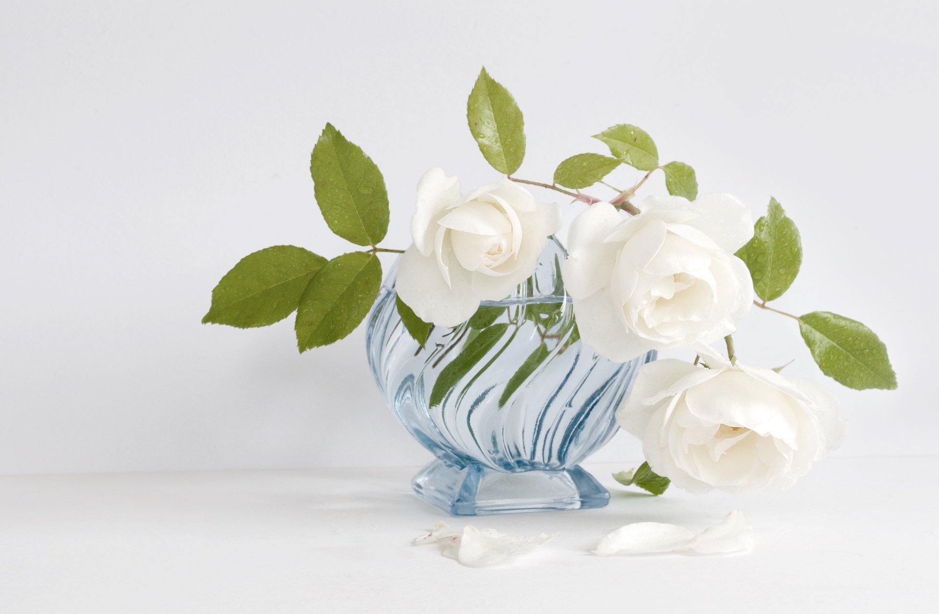 Три розы в вазе. Цветы в вазе. Красивые цветы в вазах. Красивые белые розы. Цветы в прозрачной вазе.