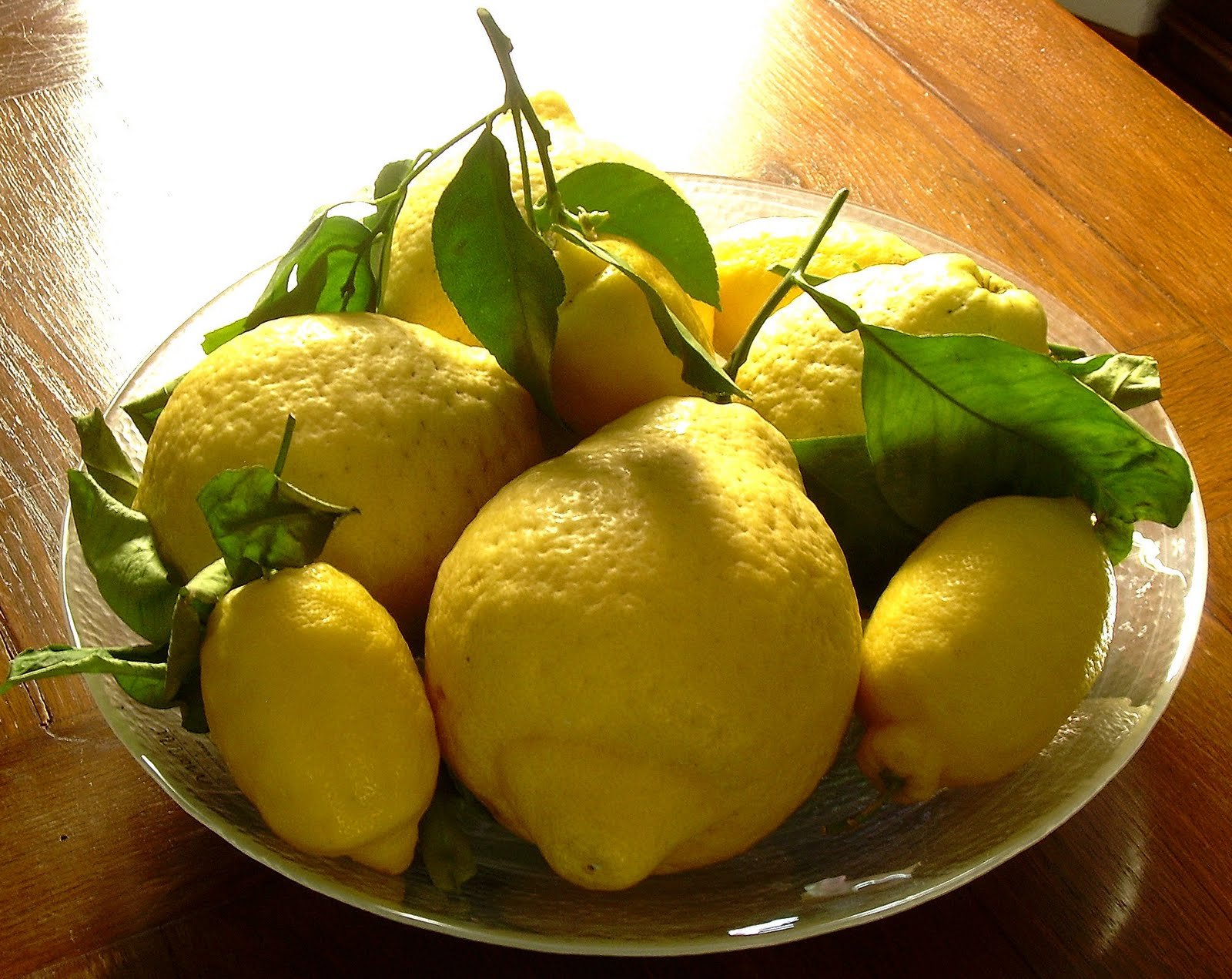 Лимоны для Лимончелло сорт. Лимон Новоафонский. Лимон вилла Франка. Лимоне суль Гарда Лимончелло. Девять лимонов