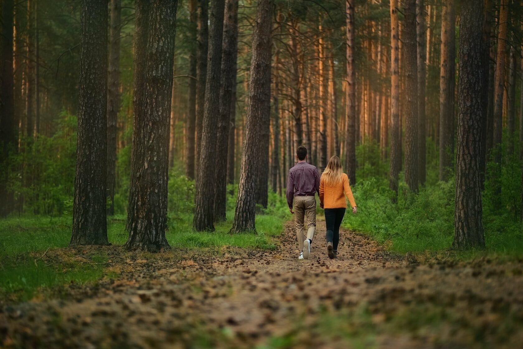 Погулять по лесу. Синрин-Йоку. Прогулки по лесу. Гулять в лесу. Пешие прогулки на природе.